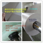 聚氯乙烯pvc防水卷材 廠家直銷